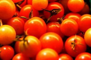 Hyödyllisiä ihme lannoite tomaatteja nokkosen