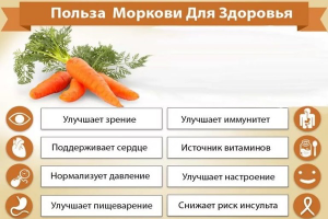 Kuinka hyödyllistä porkkana mehua, selostuksia