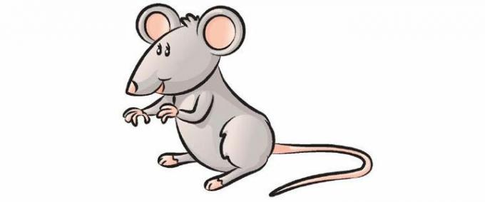 Jotkut ihmiset ovat yhdenlaisia ​​hiiriä tympääntynyt, joten korvasi ne kuvia internetistä kuvia