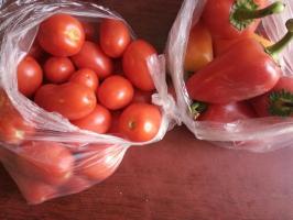 Laiska aihioiden seoksen kaksi kertaa tomaatit. Suola, etikka ei tarvita