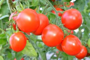 2 kertaa enemmän makea tomaatit! Yksinkertaista kansaa kastike