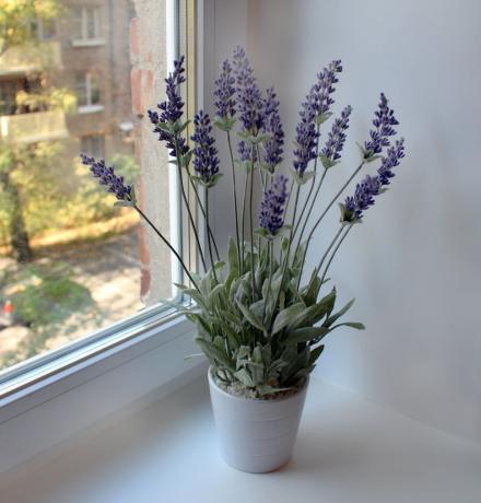 Viehättävä koti Lavender