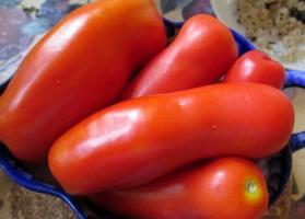 Tomaatti Zhigalo - vaatimaton ja epätavallinen lajike, uskomattoman tuottelias!