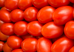 Miten istuttaa tomaatit. Aina ystävällinen versot