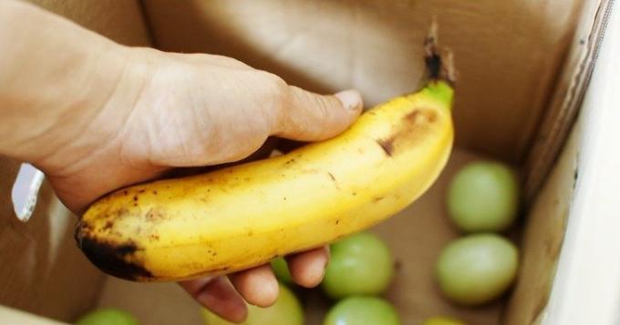 Kypsä banaani nopeuttaa kypsytys vihreät tomaatit