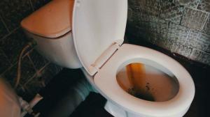 Kuinka nopeasti ja helposti puhdistaa wc ruosteesta ja keltainen plakin?