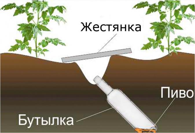 suunnittelu järjestelmä klopkan.ru sivusto