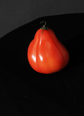 Tomaattilajikkeesta "Puzata kota"