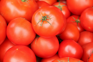 Miten valita tomaatteja vuonna 2019?