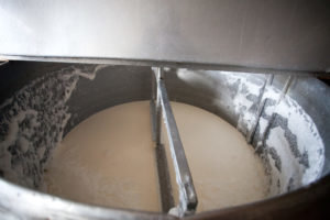 Vähitellen lisää maito fermentoitu maito hera. Sekoittamisen jälkeen sisältö koaguloimiseksi. 